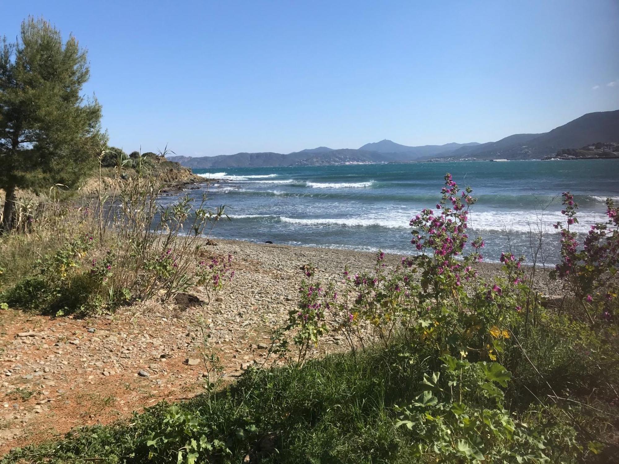 Stunning Sea Views From Luxury 4 Bed Apartment Close To Beach At Cap Ras Llança Екстериор снимка